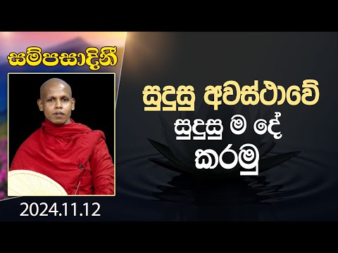 සුදුසු අවස්ථාවේ සුදුසු ම දේ කරමු | සම්පසාදිනී | 2024-11-12