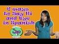 Mastering Spanish Greetings and Farewells