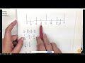 Line Plots and Data Organization