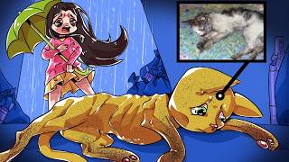 O Resgate do Gatinho