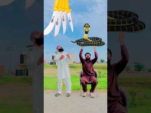 یامنزل القرآن یا خالق الانسان شکر یارب ? ? #shorts #youtubeshorts #viral