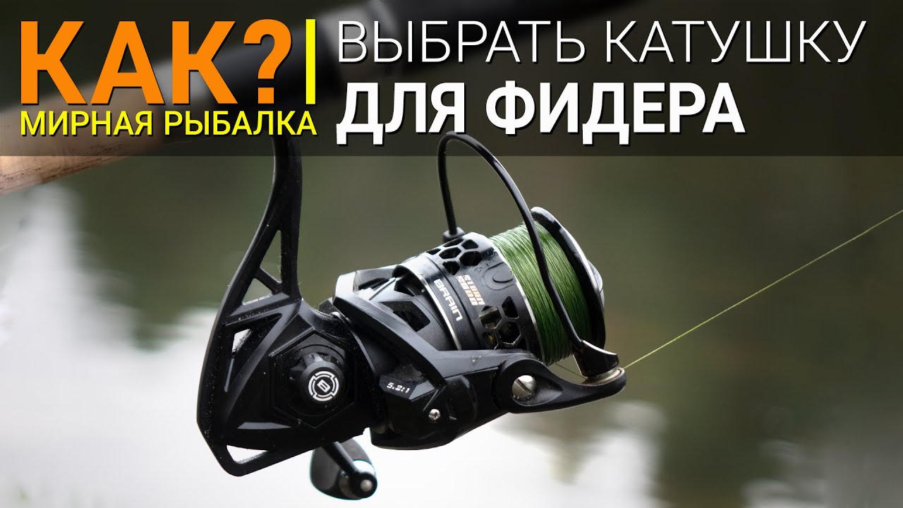 Как выбрать катушку для фидерной ловли