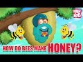 Honey and Bee Facts
