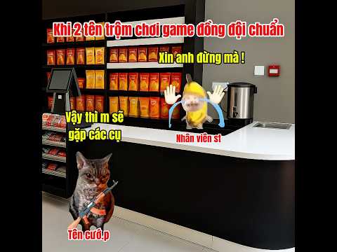 Khĩ năng hợp tác của 2 tên trom tuyệt vời #meme #cat #pets