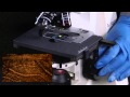 Microscope Operation and Maintenance