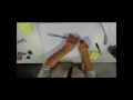 Protein Structure and Function Concepts