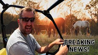 Changes For The Horse Herd + HUGE ANNOUNCEMENT!
