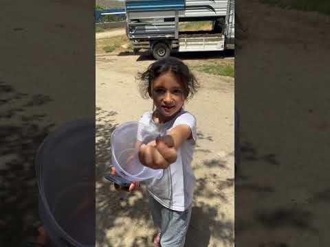ASLI HİRA VİDEOLARI ABONE OLMAYI UNUTMAYIN