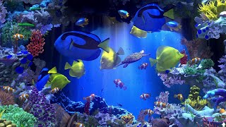 Virtual Aquarium. The world of Finding Nemo（Clownfish）! | Behind Glass: Aquarium Simulator