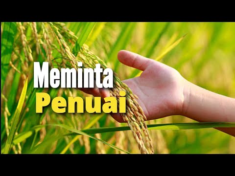 Meminta Penuai - Renungan dan Doa Pagi Suara Injil 2/3/2025