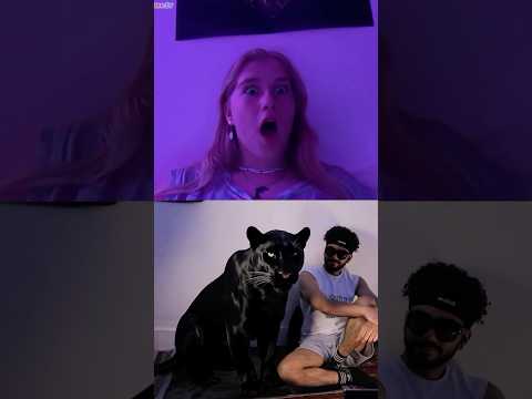 كانت فاكرانى معايا قطه عاديه 😂
