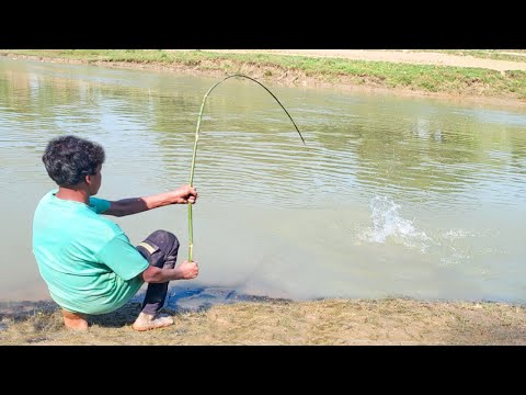 Fishing Video || Anyone will be impressed by the fishing talent of the boy  || Fish hunting