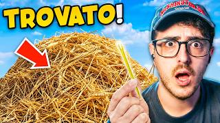 FINALMENTE HO TROVATO L’AGO NEL PAGLIAIO!