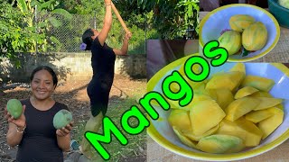 Mangos locos a lo Salvadoreño 