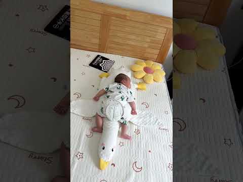 Why are babies falling asleep faster hugging a giant goose#shorts #gadgets