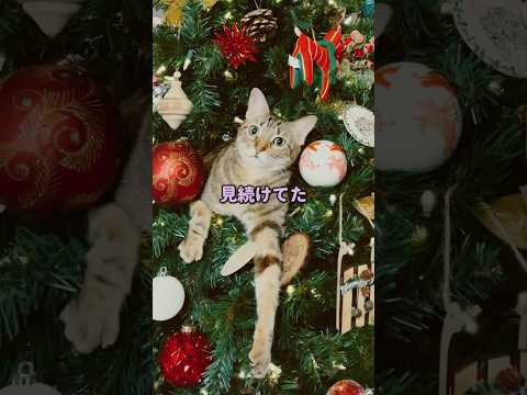 【2ch怖いスレ】衝撃的な踊る火柱の正体