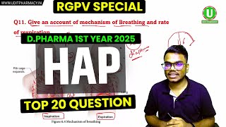 Human Anatomy and Physiology Top 20 Question | RGPV Most Important Question | D.Pharma 1st Year HAP