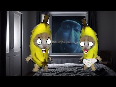 Banana Cat 🍌🐱 Life Series Compilation #22 😸🤭