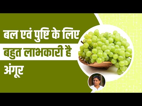 बल (Strength) एवं पुष्टि (Nutrition) के लिए बहुत लाभकारी है अंगूर (Grapes) || Acharya Balkrishna