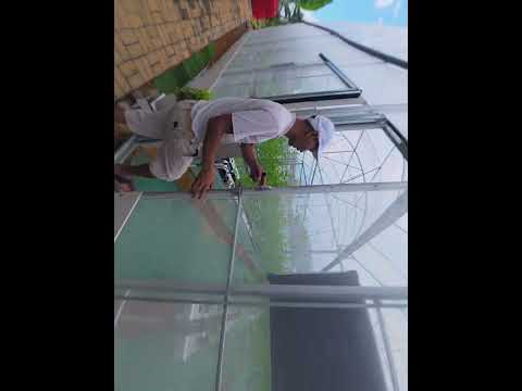 Ayo belajar budidaya melon hidroponik#melon #hidroponik #vlog #panen #adventurewithyou