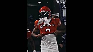 Chicago Bears #helpmemakethismakesense #funnyanimals #animals #funny #newupdateinrobloxbedwars