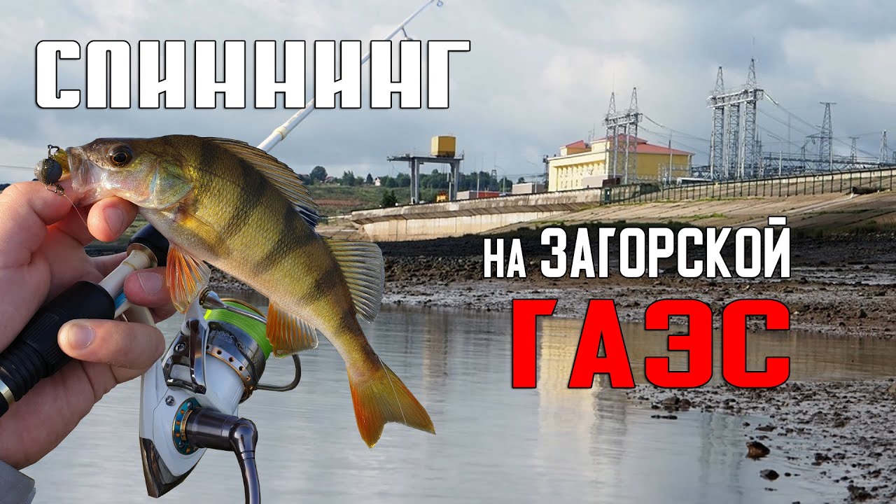 За окунем на ГАЭС! Спиннинг в Подмосковье