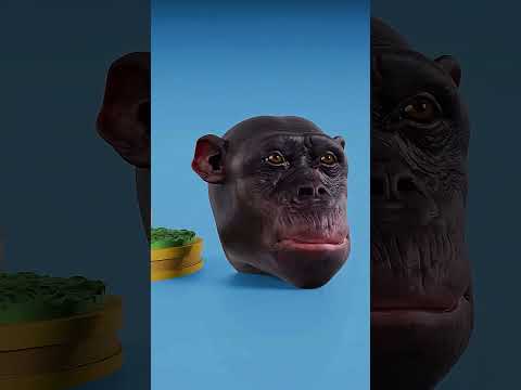 đây là cái đầu của những loài động vật.