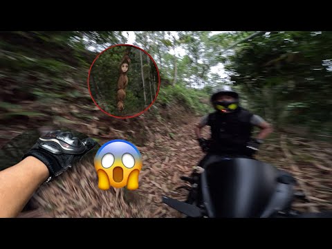 BIKIN NGAKAK‼️TEMEN NANGIS KETAKUTAN SAAT DIAJAK TRABAS HORROR (cuplikan video)