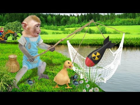 Monkey Baby BinBin survival in the rainforest - Catch the crab in the mud Animal Islands