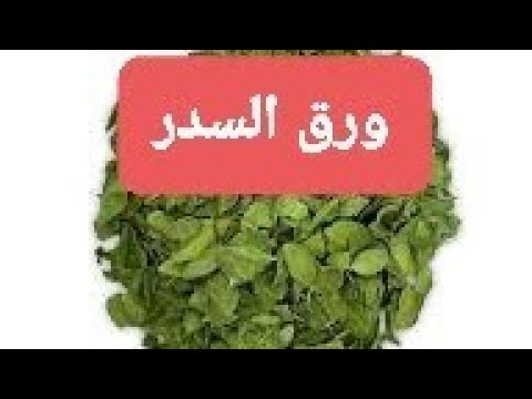 وصفة ورق السدر اللي تهنيك من السحر والعين والجن العاشق