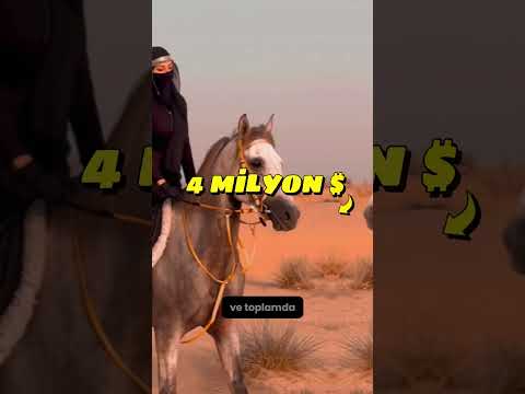 Dubai'nin En Zengin Kadını Sheikha Mahra #şort
