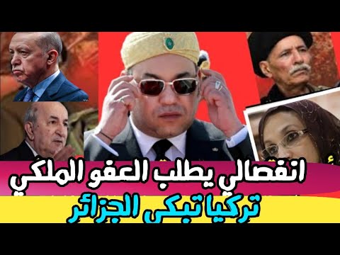 بالفيديو انقلاب داخل البوليساريو..انفصالي يهرب ويطلب العفو الملكي..تركيا طحنات الجزائر 🤔