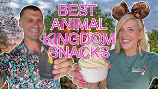 Disney World Snack Draft: Animal Kingdom | The BEST Year-Round Eats & Drinks