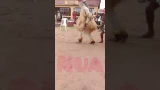 Ekpe Ndi Uduma Ohafia( Atu Dance 2024)