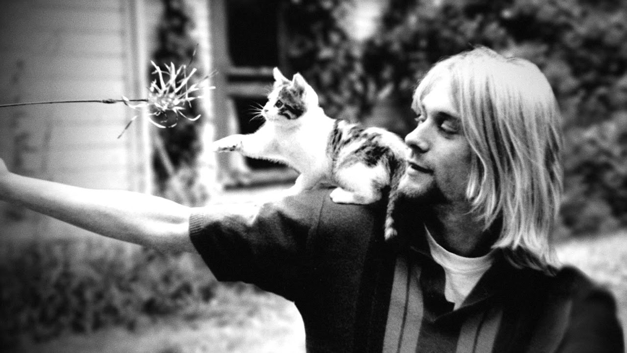 Cobain: Montage of Heck miniatura del trailer