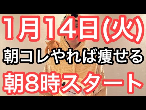 【新年はこの体操で痩せよう】60代70代向け🔰初心者大歓迎❗️今日から痩せよう🔰朝8時スタート！無理なくお腹凹む！ナマケモノの健康LIVE