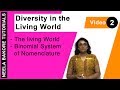 Scientific Nomenclature and Taxonomy