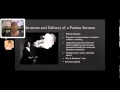 Great Awakening and Sermon Analysis