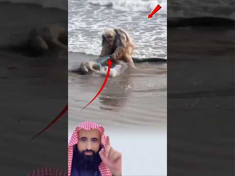 أحيانًاتخرج أسرارالطبيعة فجأة لتترك العيون مذهولة والقلوب غارقة في الرهبة😱#اكسبلور #رعب #لايك #viral