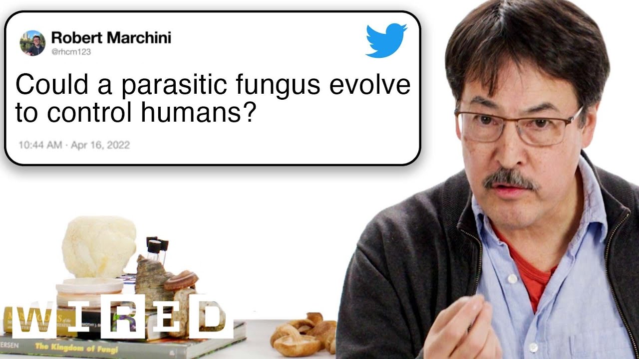 Mycologist Answers Mushroom Questions From Twitter Tech Support