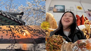 25년 나의 봄/논산 노을맛집 '옥녀봉'/5월지나면 못먹는 우어회/부모님 결혼기념일/7년만에 처음 만나는 구독자님/먹방 브이로그