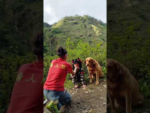 Short films, good entertainment videos every day for you #30