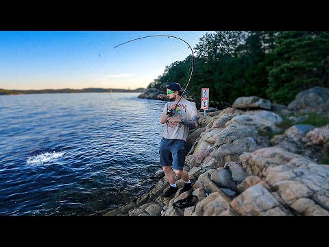 Dette Har Jeg Ikke Fått Før - Fiske ASMR