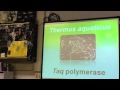 DNA Sequencing and Enzyme Functions