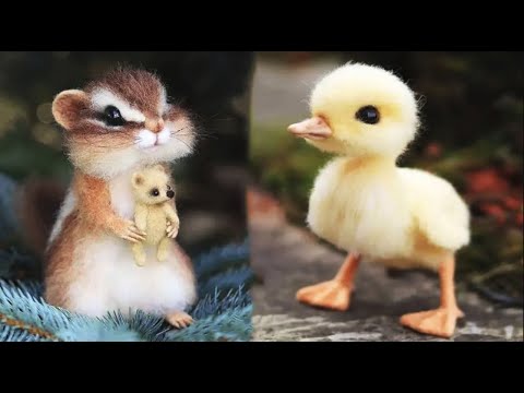 AWW Animals SOO Cute! Cute baby animals Videos Compilation cute moment of the animals #17