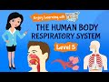 Human Respiratory System Concepts