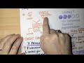 8th Grade Social Studies Final Exam Review