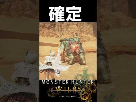 け〇あな確定チャタカブラ モンハンワイルズ魅せプ【MHWs】Monster Hunter Wilds #shorts#MHWs#モンハンワイルズ