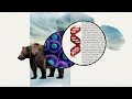 Exploring DNA's Role in Evolution