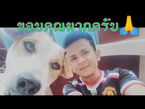 ขอบคุณ​ 38 ล้านวิวครับ